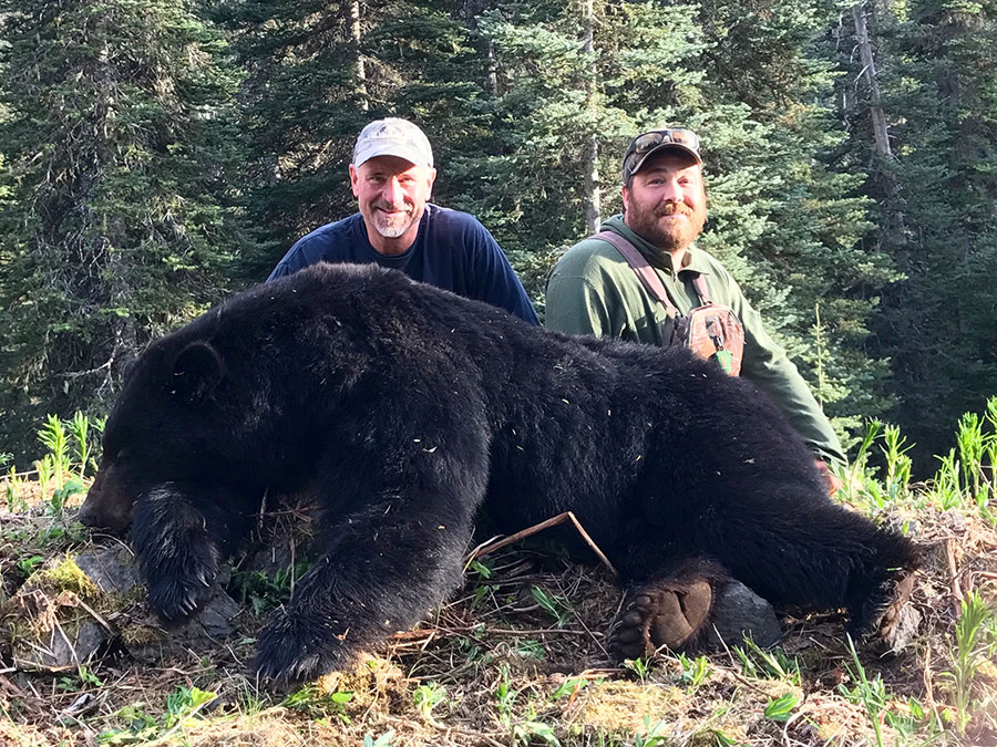 Bear Hunt BC
