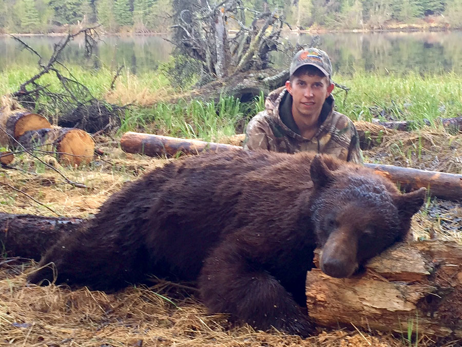 Black Bear Hunting BC