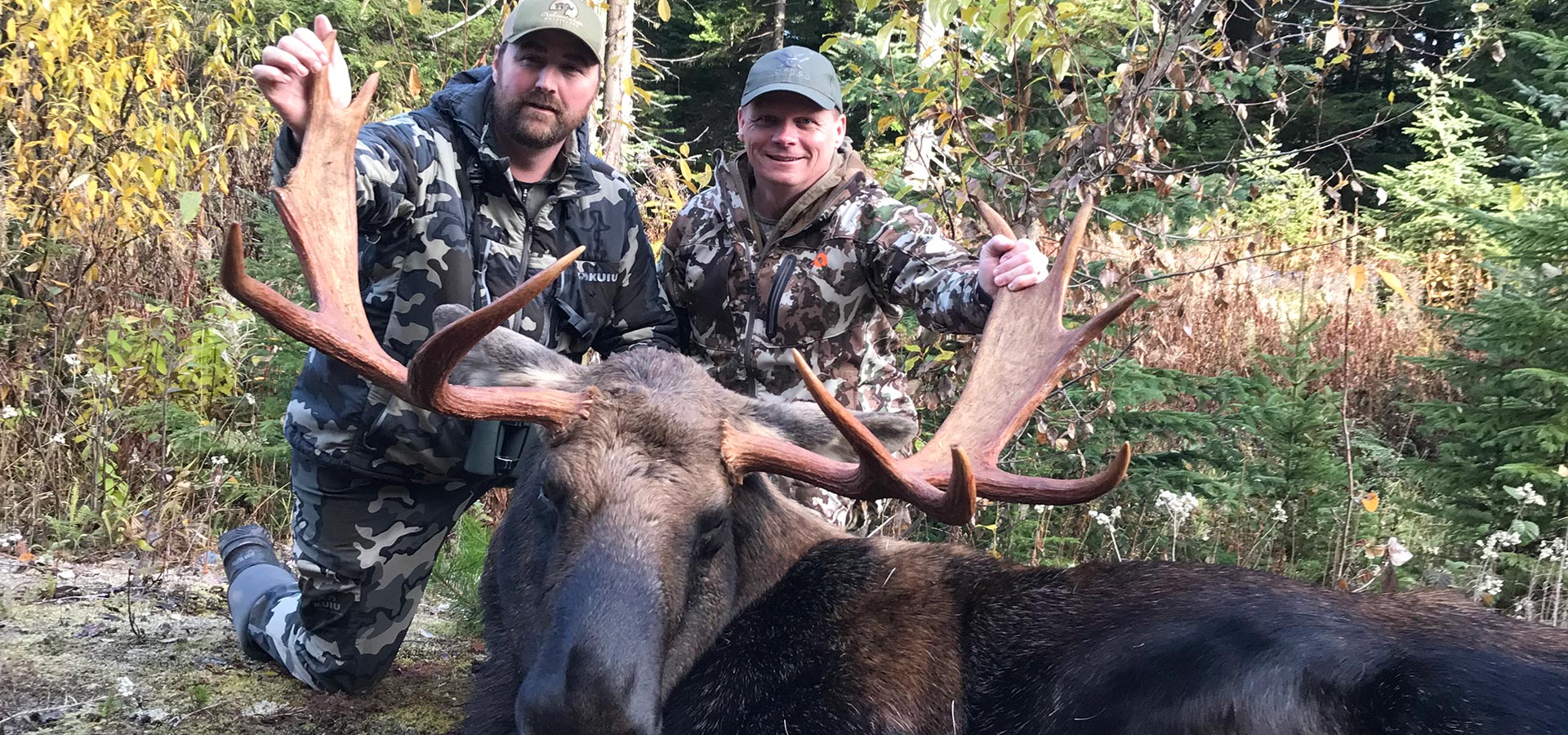 BC Moose Hunting