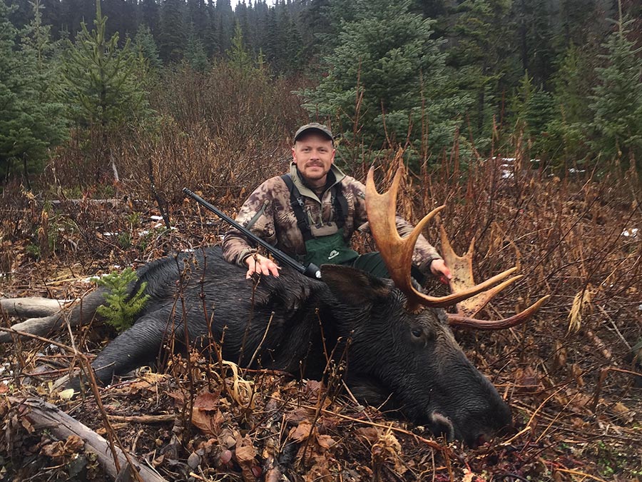Moose Hunt in BC
