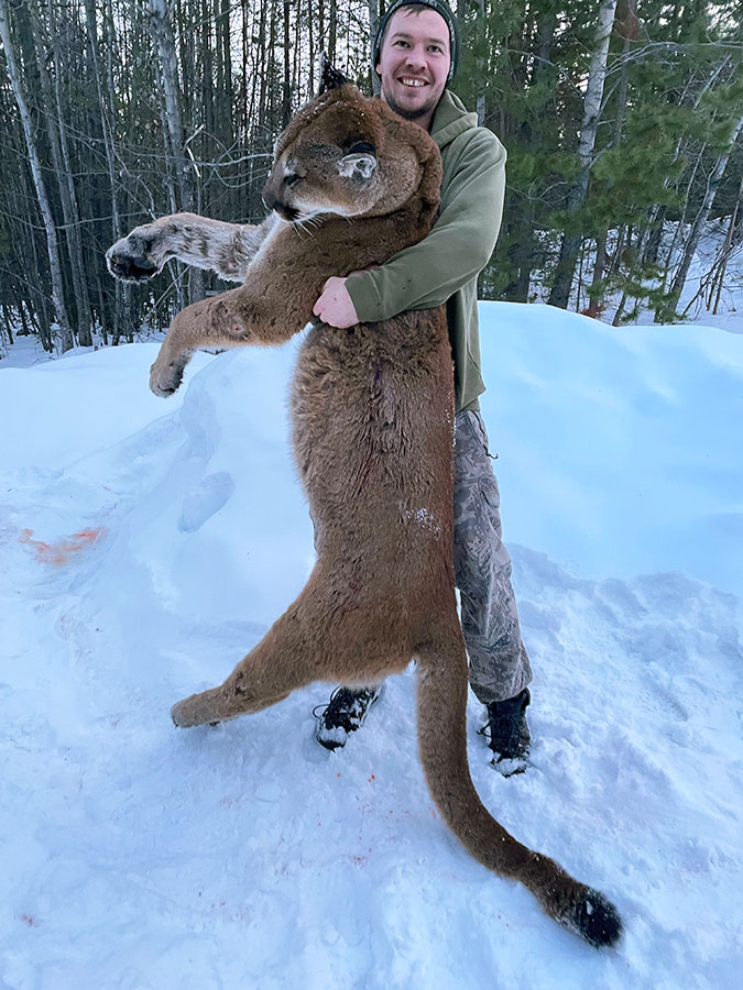 BC Cougar Hunt